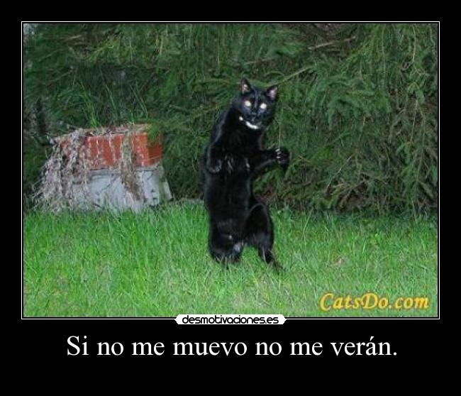 carteles muevas desmotivaciones