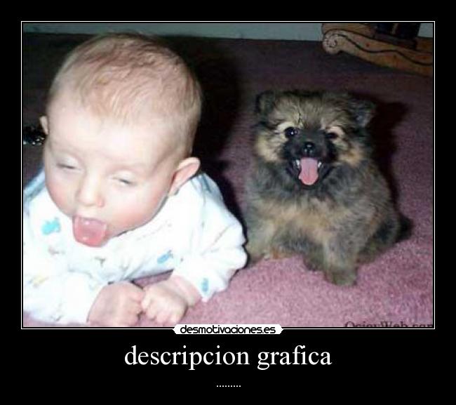descripcion grafica - .........