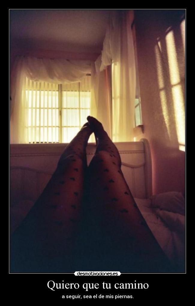 carteles hormonas alteradas everywhere desmotivaciones