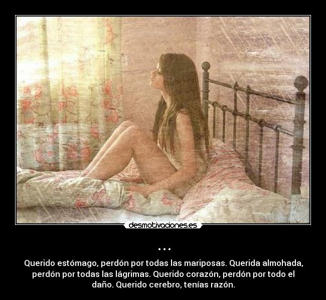 ... - Querido estómago, perdón por todas las mariposas. Querida almohada,
perdón por todas las lágrimas. Querido corazón, perdón por todo el
daño. Querido cerebro, tenías razón.