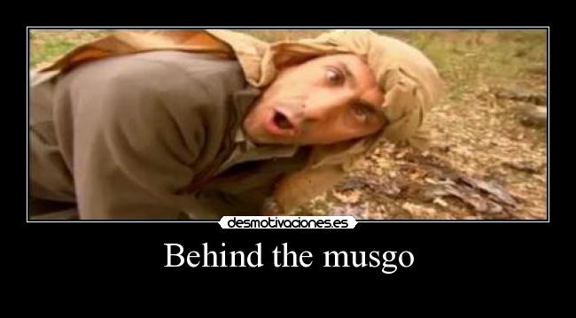 Behind the musgo - 