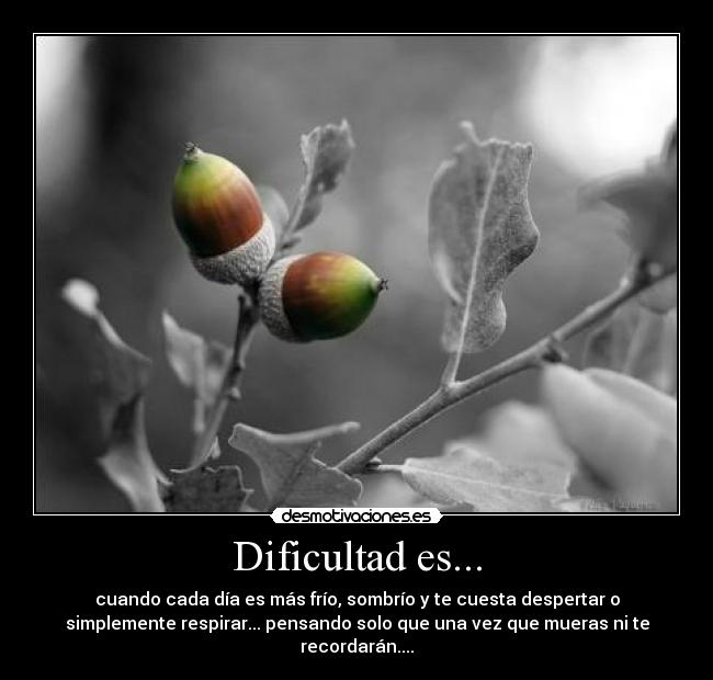Dificultad es... - cuando cada día es más frío, sombrío y te cuesta despertar o
simplemente respirar... pensando solo que una vez que mueras ni te
recordarán....