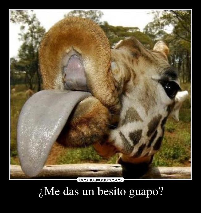 ¿Me das un besito guapo? - 