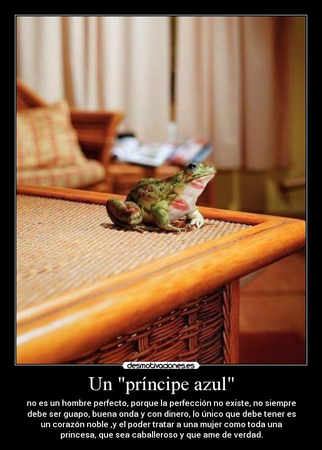 Un príncipe azul - no es un hombre perfecto, porque la perfección no existe, no siempre
debe ser guapo, buena onda y con dinero, lo único que debe tener es
un corazón noble ,y el poder tratar a una mujer como toda una
princesa, que sea caballeroso y que ame de verdad.
