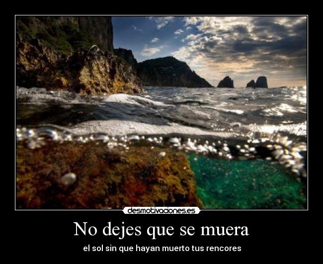 No dejes que se muera -