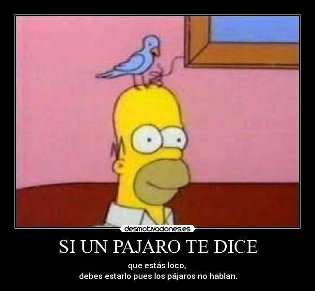 SI UN PAJARO TE DICE -