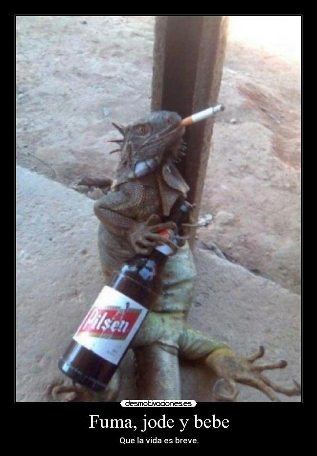 carteles frase muy vista pero pela son cosas que hago normalmente desmotivaciones