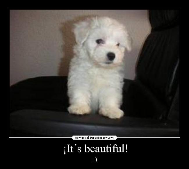 ¡It´s beautiful! - :-)