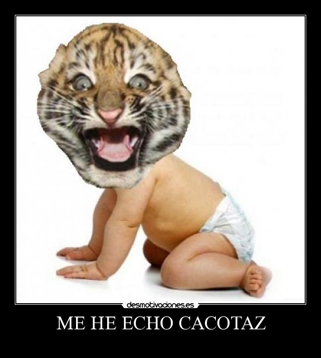 carteles tigretoneh clanng clantigretoneh desmotivaciones