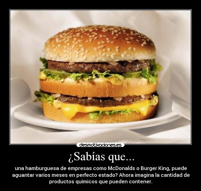 ¿Sabías que... - una hamburguesa de empresas como McDonalds o Burger King, puede
aguantar varios meses en perfecto estado? Ahora imagina la cantidad de
productos químicos que pueden contener.