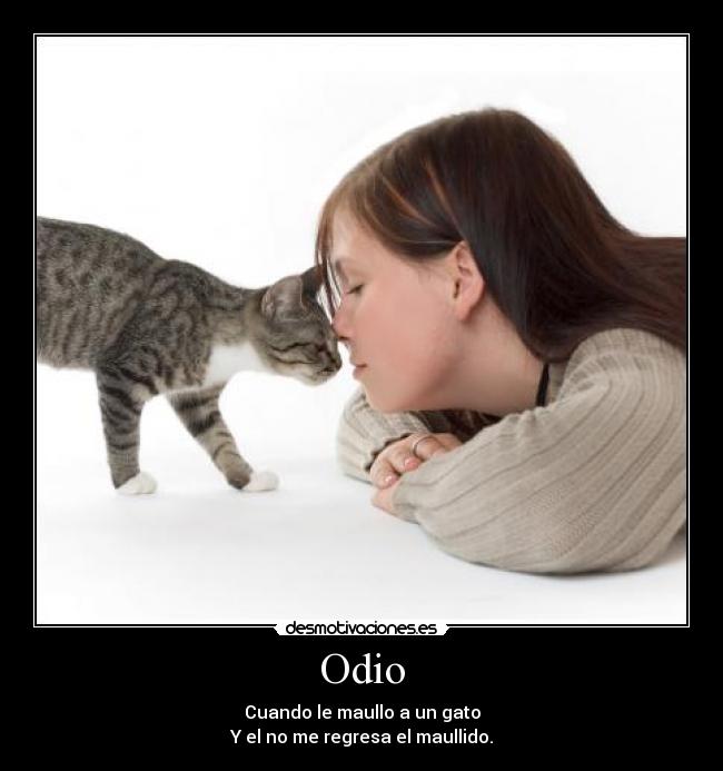 Odio - Cuando le maullo a un gato
Y el no me regresa el maullido.