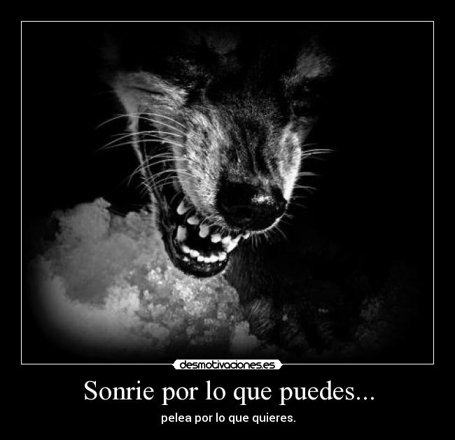 Sonrie por lo que puedes... -