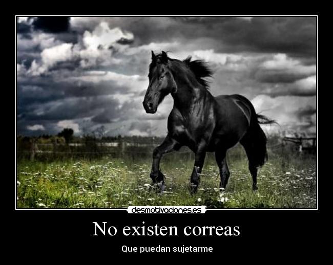 No existen correas - Que puedan sujetarme
