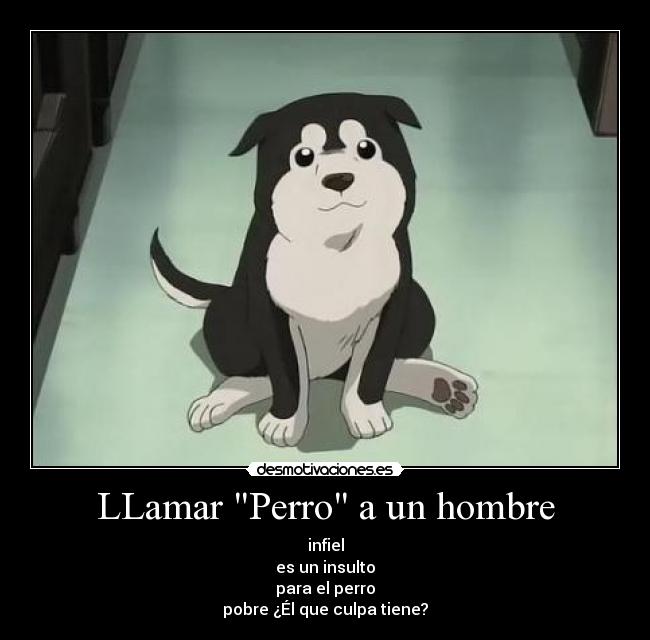 LLamar Perro a un hombre - infiel
es un insulto
para el perro
pobre ¿Él que culpa tiene?