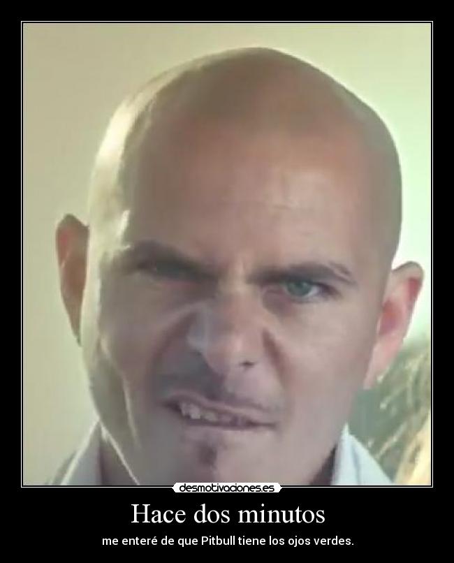 Hace dos minutos - me enteré de que Pitbull tiene los ojos verdes.
