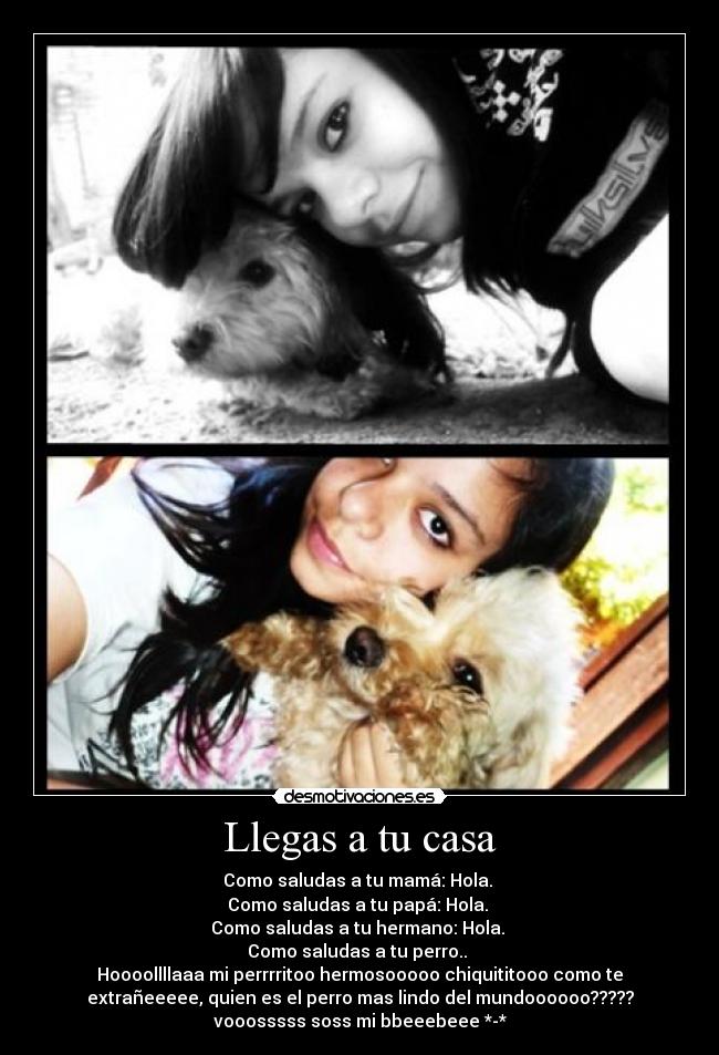 Llegas a tu casa - Como saludas a tu mamá: Hola.
Como saludas a tu papá: Hola.
Como saludas a tu hermano: Hola.
Como saludas a tu perro..
Hoooollllaaa mi perrrritoo hermosooooo chiquititooo como te
extrañeeeee, quien es el perro mas lindo del mundoooooo?????
vooosssss soss mi bbeeebeee *-*