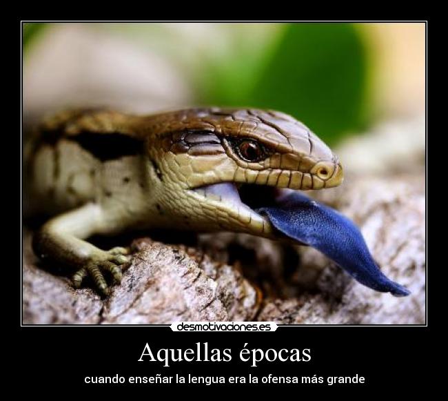 Aquellas épocas - cuando enseñar la lengua era la ofensa más grande