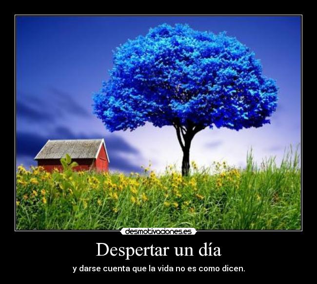 Despertar un día - y darse cuenta que la vida no es como dicen.