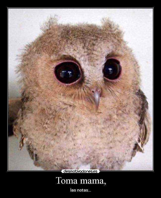 Toma mama, -