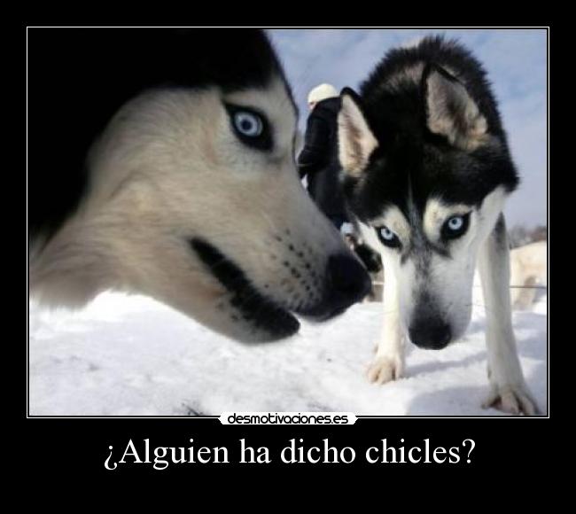 ¿Alguien ha dicho chicles? -