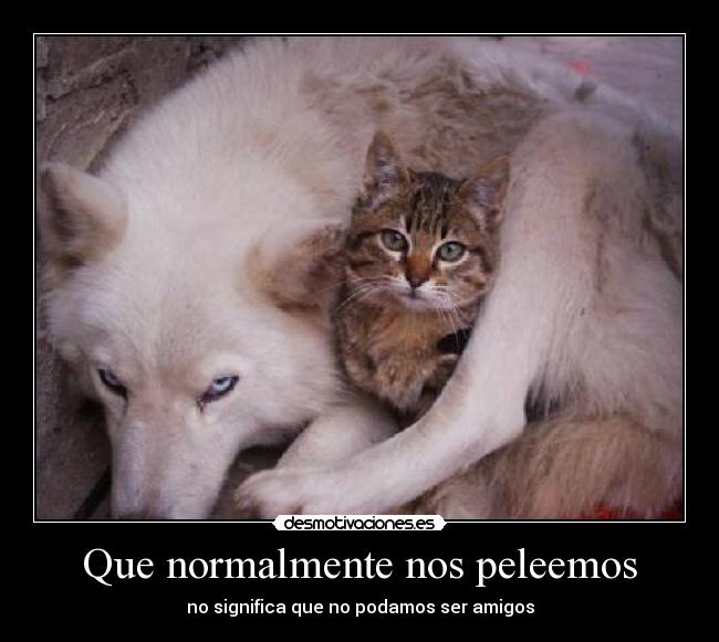 Que normalmente nos peleemos - 