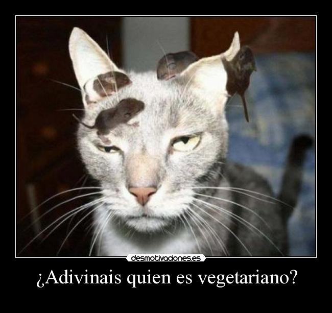 ¿Adivinais quien es vegetariano? -