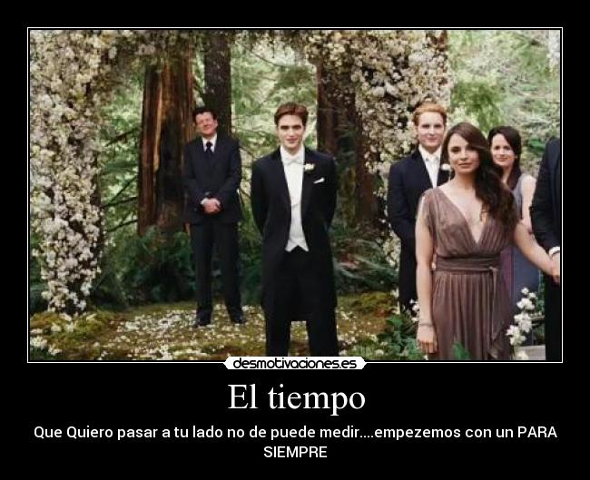 carteles edward cullen bella desmotivaciones