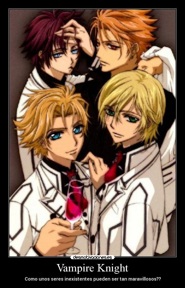 Vampire Knight -