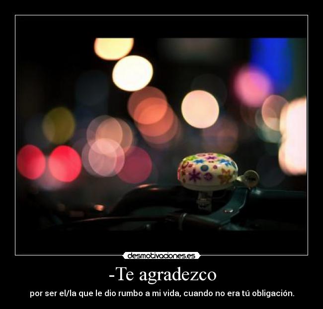 -Te agradezco -