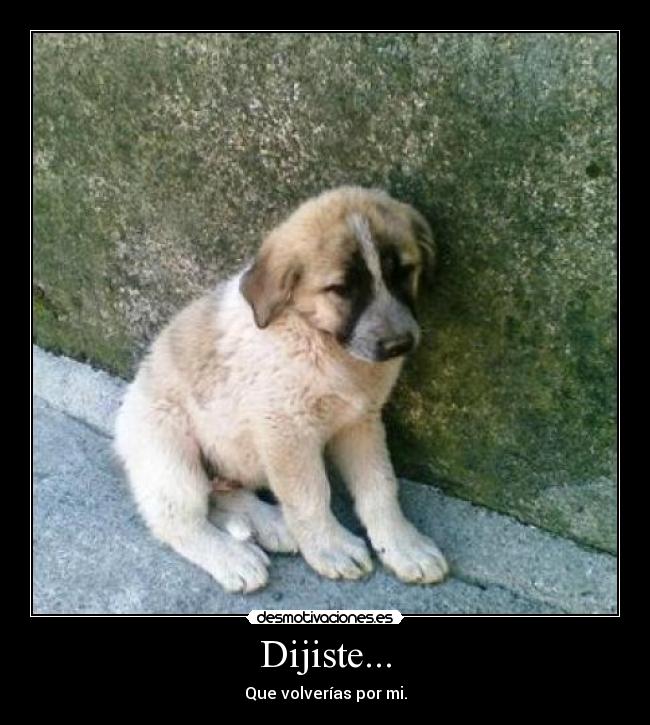 Dijiste... -