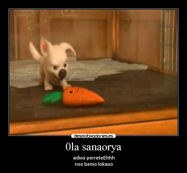 0la sanaorya - adios perreteEhhh
nos bemo lokaso