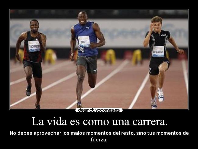 carteles vida vida desmotivaciones