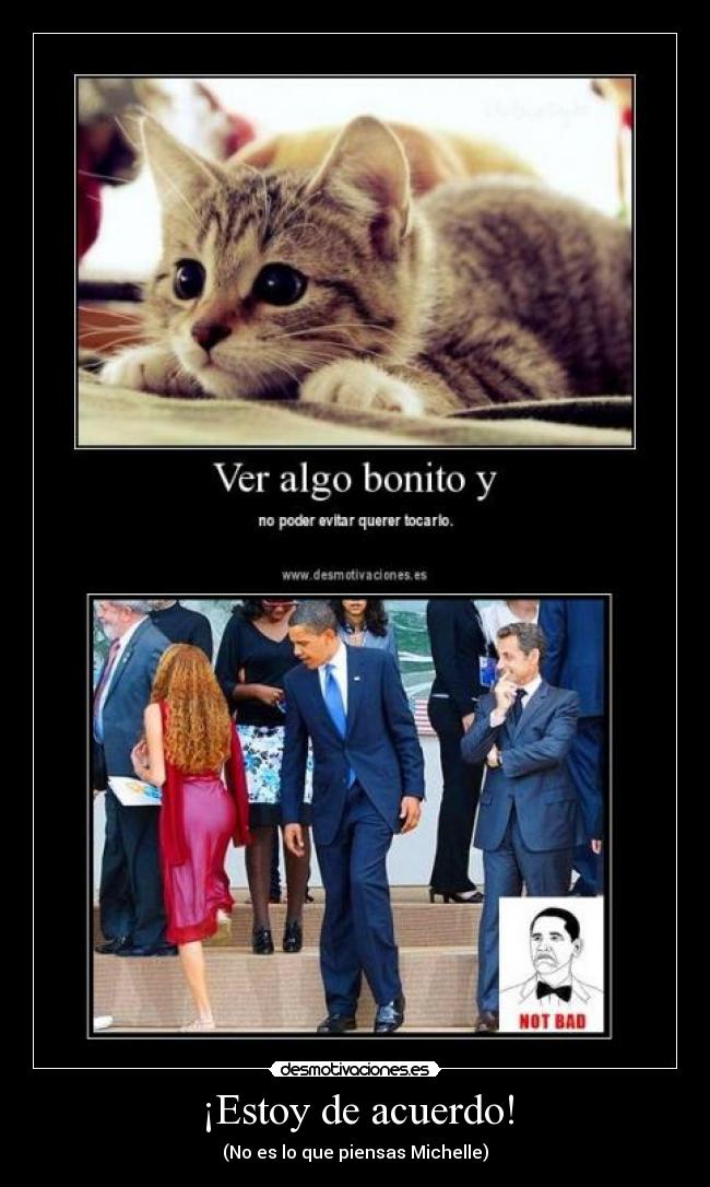 ¡Estoy de acuerdo! - (No es lo que piensas Michelle)