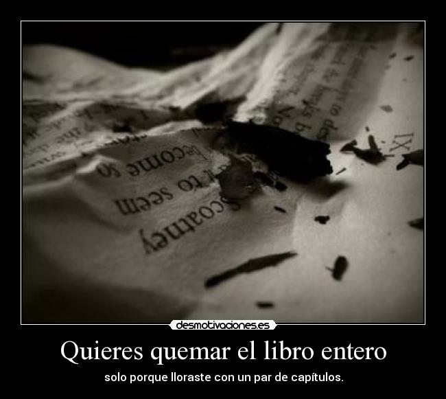 Quieres quemar el libro entero - solo porque lloraste con un par de capítulos.