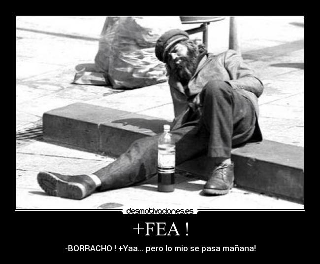 +FEA ! - 