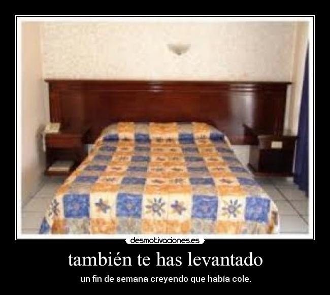 también te has levantado -