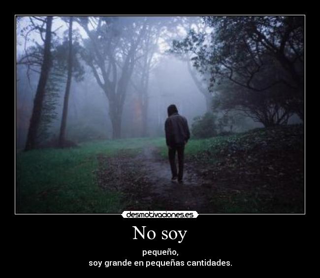 No soy - 