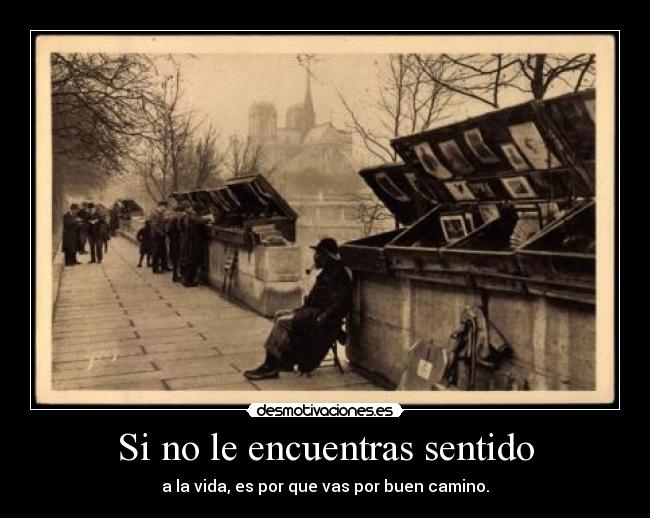 Si no le encuentras sentido - a la vida, es por que vas por buen camino.