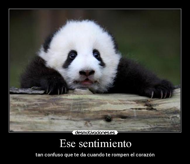 Ese sentimiento - tan confuso que te da cuando te rompen el corazón