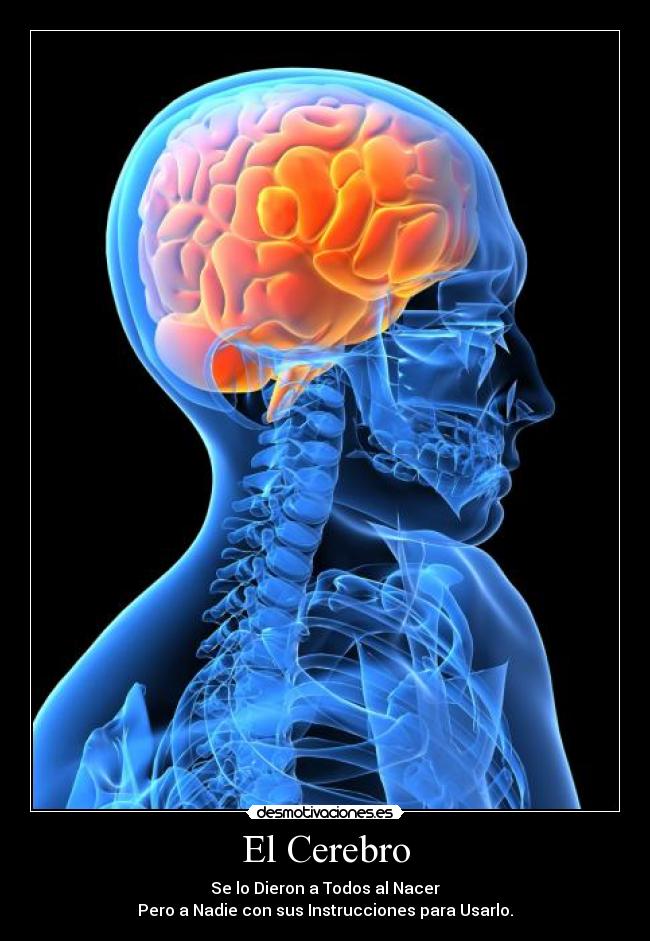 carteles cerebro desmotivaciones