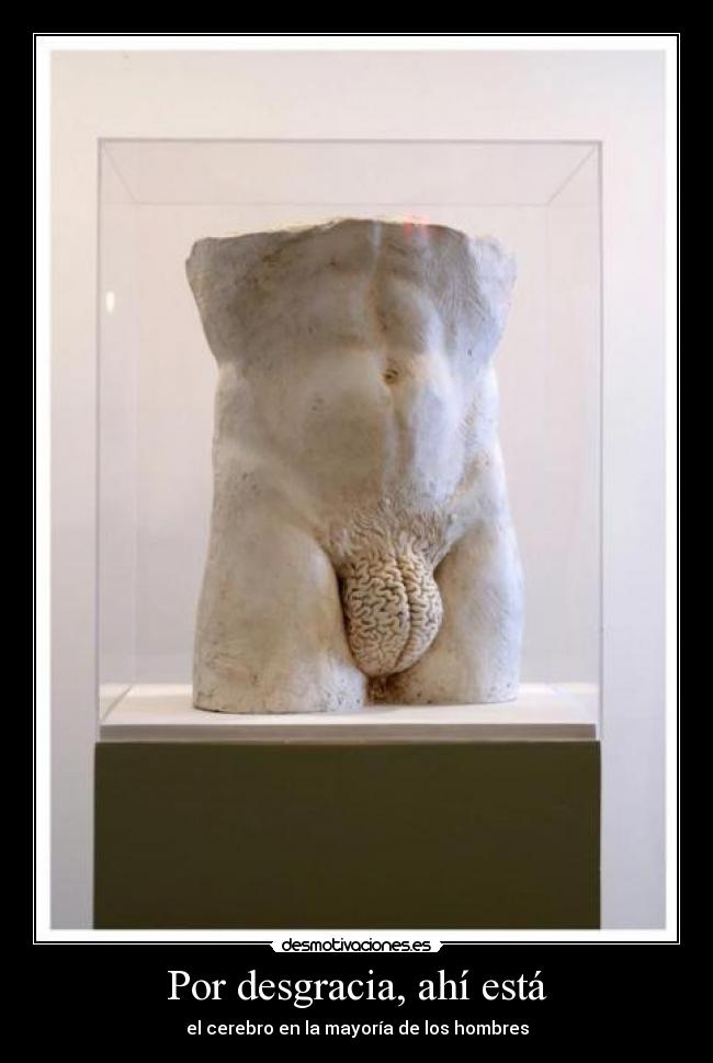 Por desgracia, ahí está - el cerebro en la mayoría de los hombres