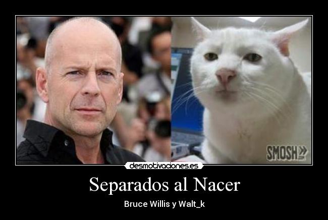 Separados al Nacer - Bruce Willis y Walt_k