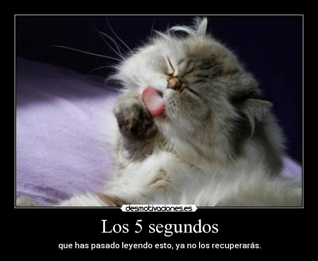 Los 5 segundos - 