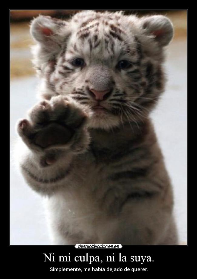 Ni mi culpa, ni la suya. -