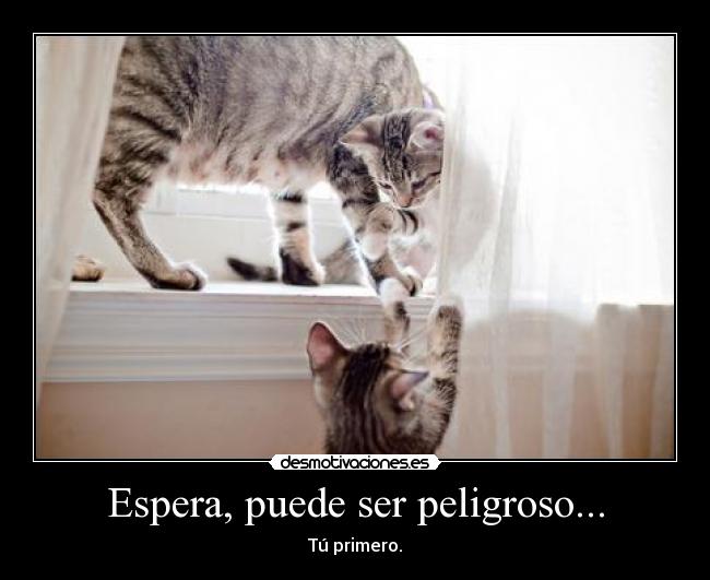 Espera, puede ser peligroso... -