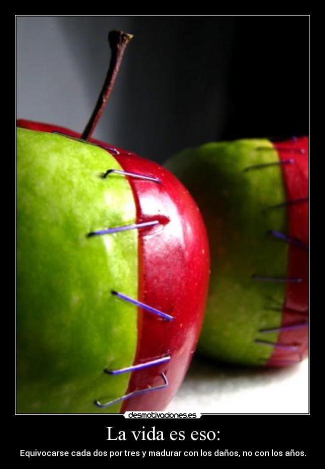La vida es eso: - 