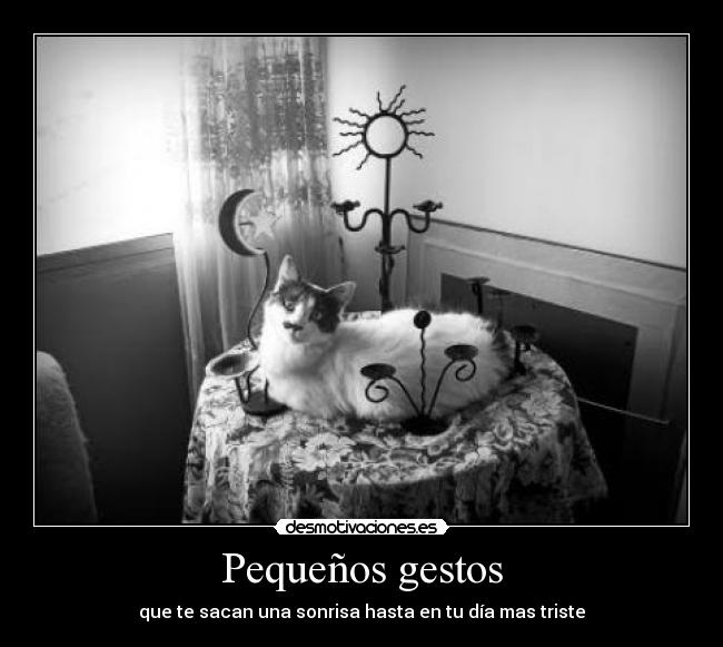 carteles desvio desmotivaciones