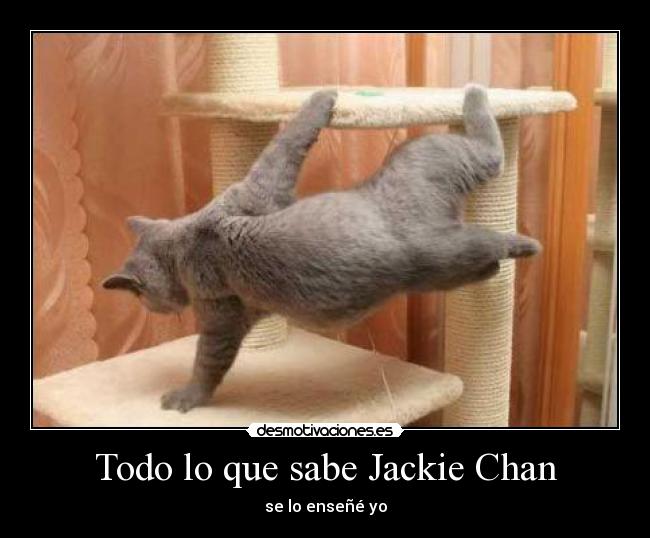 Todo lo que sabe Jackie Chan - se lo enseñé yo