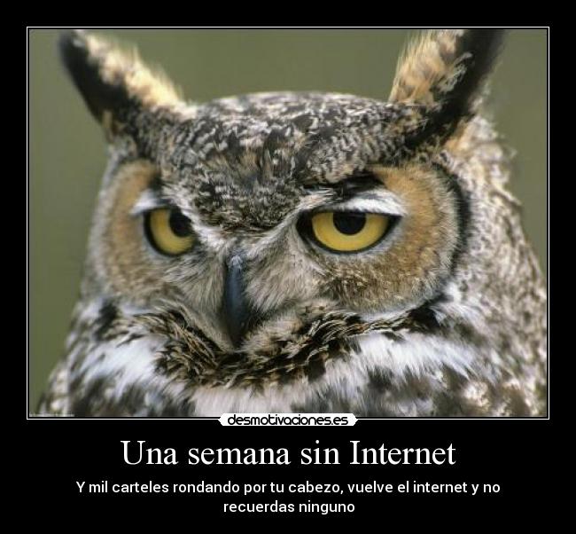 Una semana sin Internet -