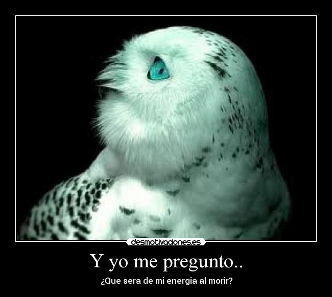 Y yo me pregunto.. - 